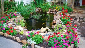 Louisiana Native Plants For Landscaping: Low-Maintenance Picks That Grow Well