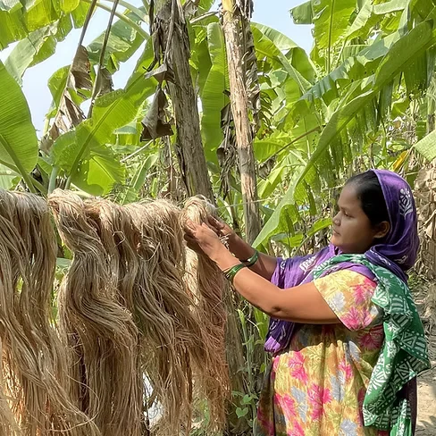 Banofi Leather - Althernative Leather Made From Banana Crop Waste