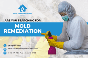 Miami Water Damage Restoration Expands Mold Remediation Services for Safer Homes and Businesses