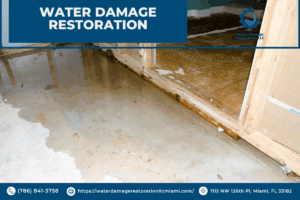 Flood Damage Restoration Experts in Miami: Certified Services to Save One’s Property