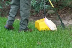 Hairy Houdini LLC Enhances Pet Waste Removal Services to Improve Customer Experience and Yard Sanitation