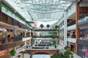 Vilchis Tree Services Pro Highlights Community Connection in Latest Blog Post for Kennesaw Residents