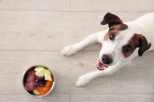 Pet Food Connect Expands Access to Advanced Veterinary Formulations