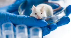 Precision Meets Affordability, Ace Therapeutics Unveils In Vivo Efficacy Testing Services for IBD Drug Candidates