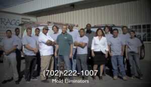 Mold Eliminators Provides IICRC-Certified Water Damage and Mold Remediation Services in Las Vegas
