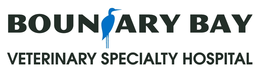 Bird Flu and Cats: What Boundary Bay Veterinary Specialty Hospital says Surrey and Lower Mainland Pet Owners Need to Know