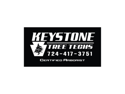 Rochester-Based Keystone Tree Techs Marks 100 Customer Reviews on Google