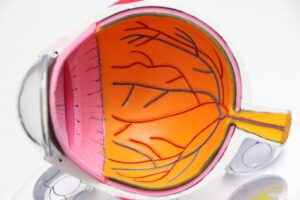 From Cataract Surgery to YAG Capsulotomy: A Surgeon’s Own Journey Through Vision Restoration